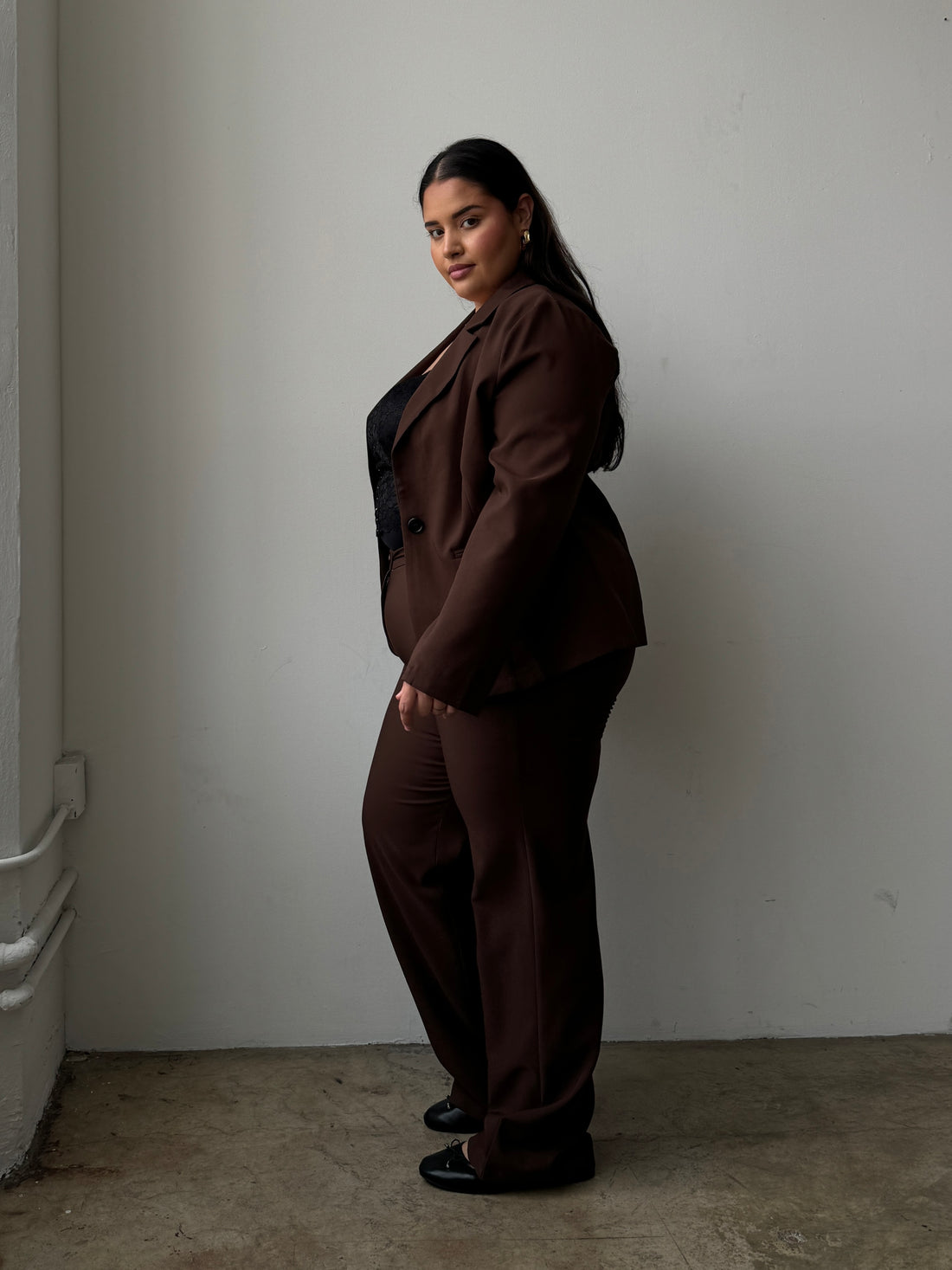 Plus Size Solid Trouser Pants Brown